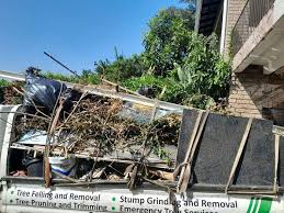 Best Construction Debris Removal  in Centreville, MI