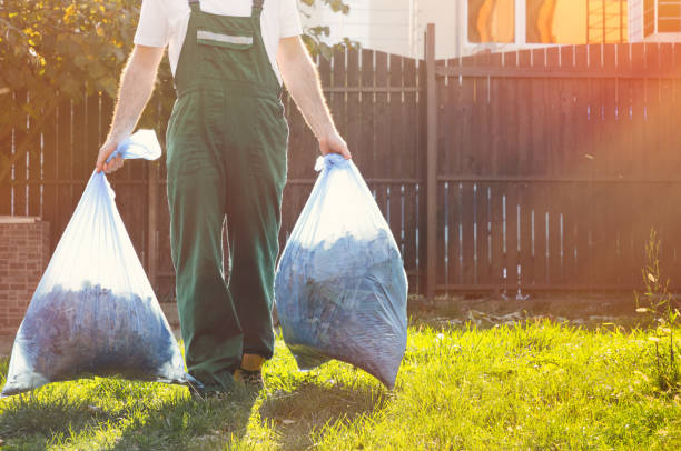 Best Shed Removal  in Centreville, MI