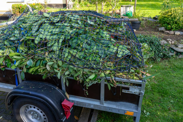 Best Mattress Disposal  in Centreville, MI
